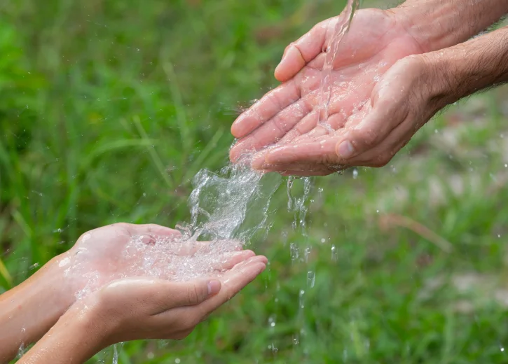 Sustainability