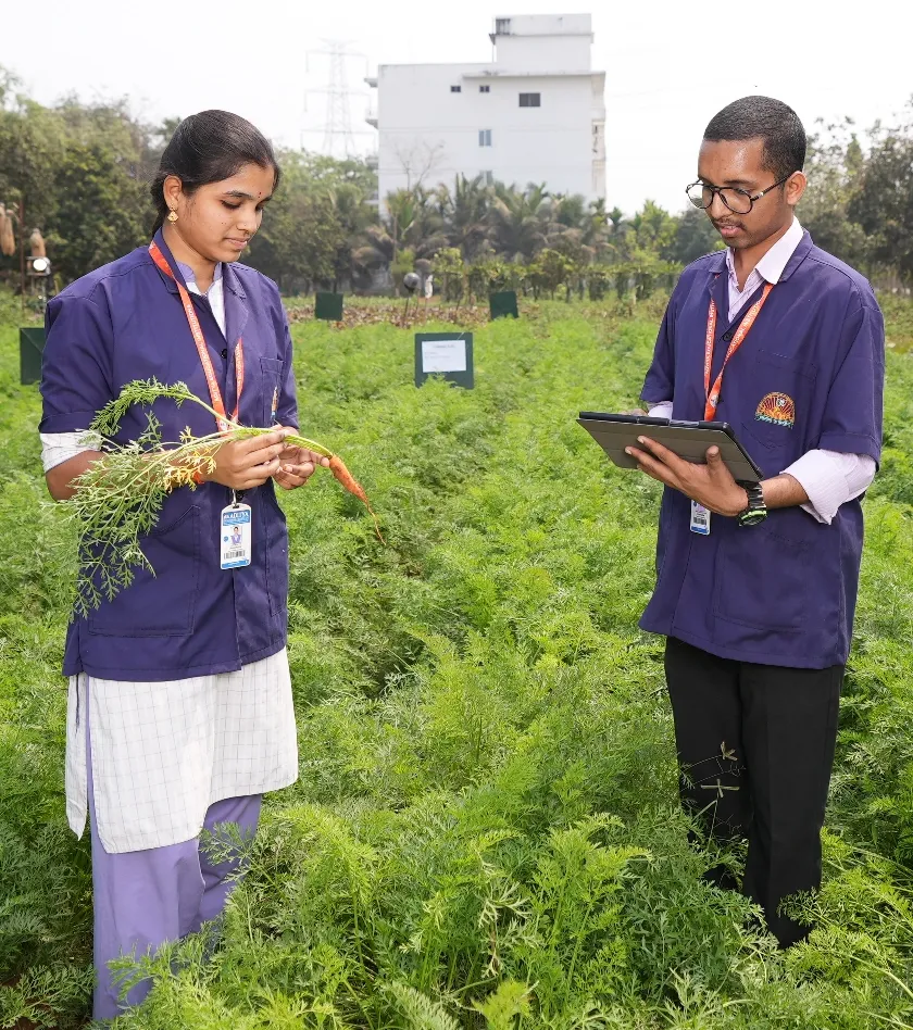 Department of Agricultural Engineering