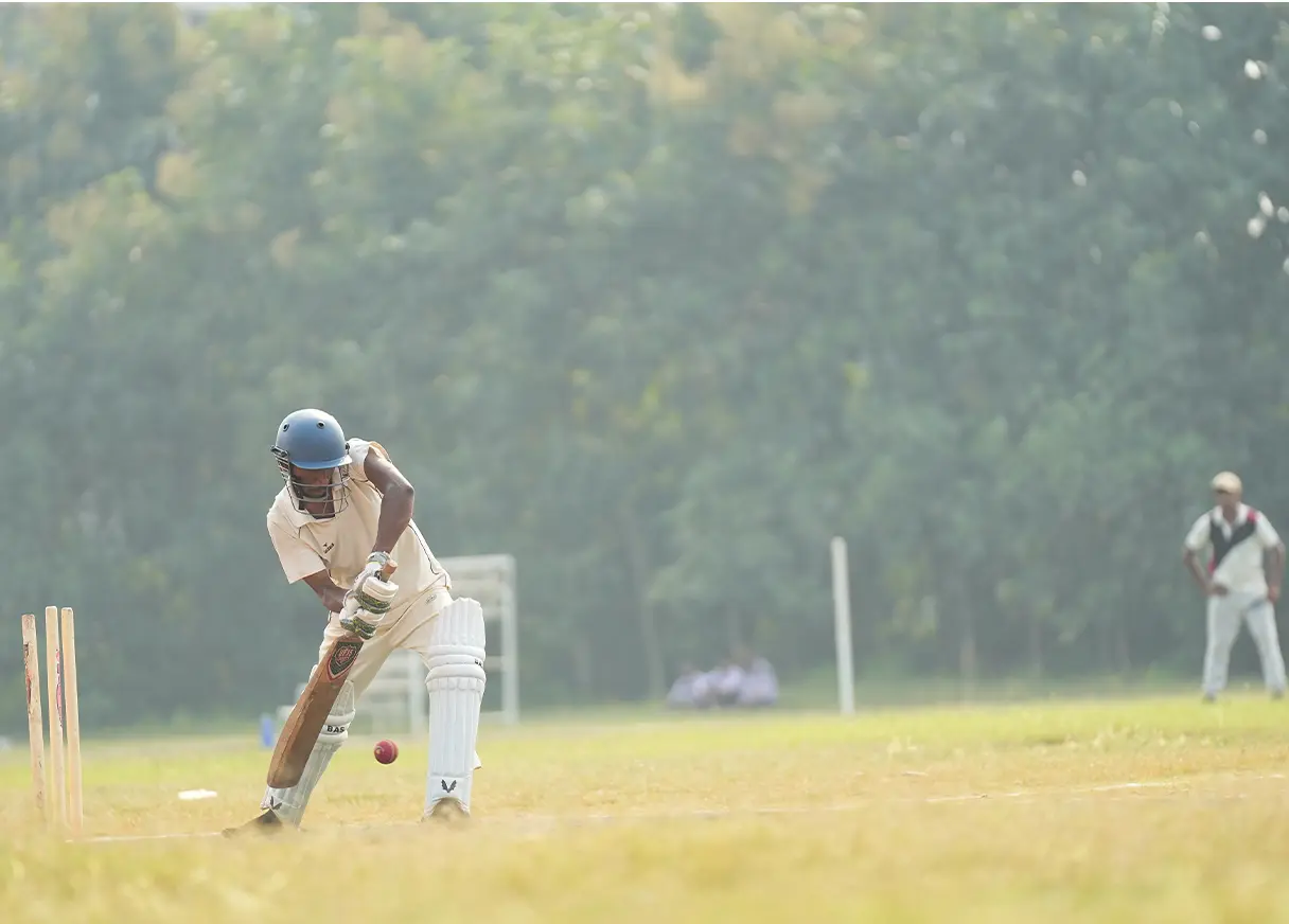 Cricket