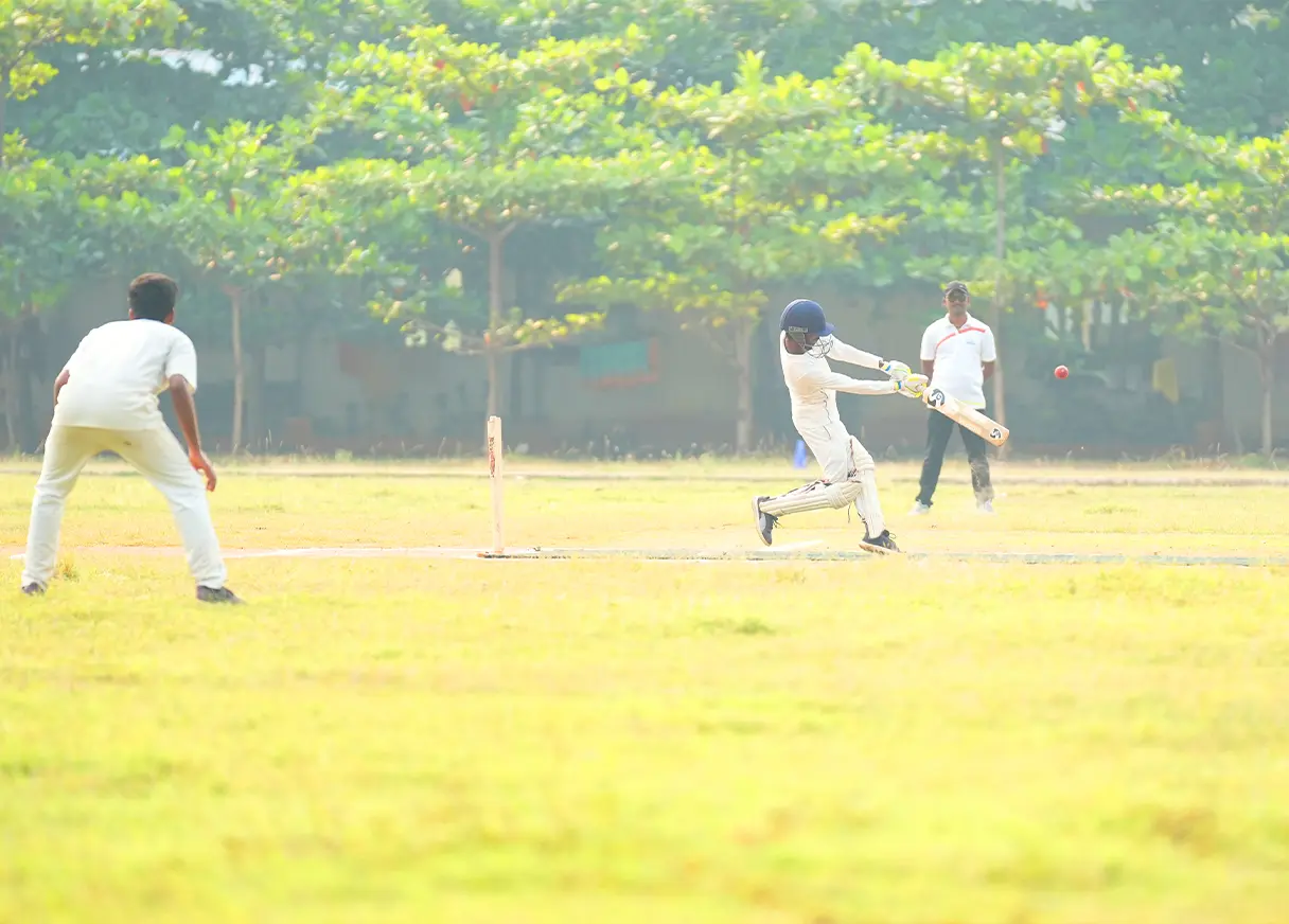 Cricket